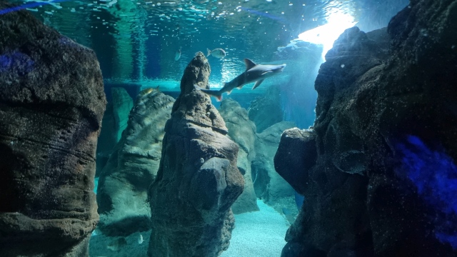 ../images/fotoalbum/lanzarote23/2023-09-18 10.19.48